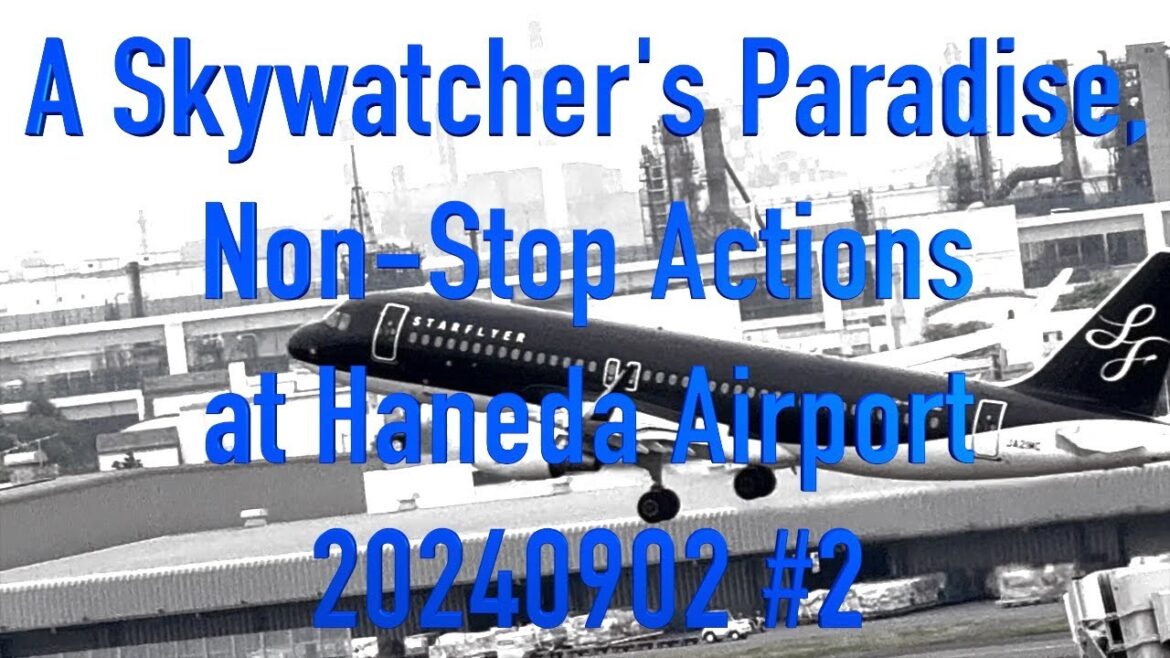 A Skywatcher's Paradise, Non-Stop Actions at Haneda Airport 20250420 #6 #japan  #tokyo #haneda #fly