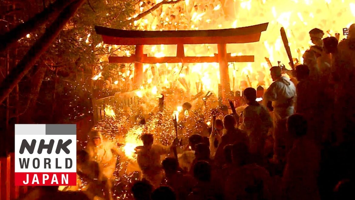 WELCOME TO WAKAYAMA!: Fire Festival and Family - Dig More Japan