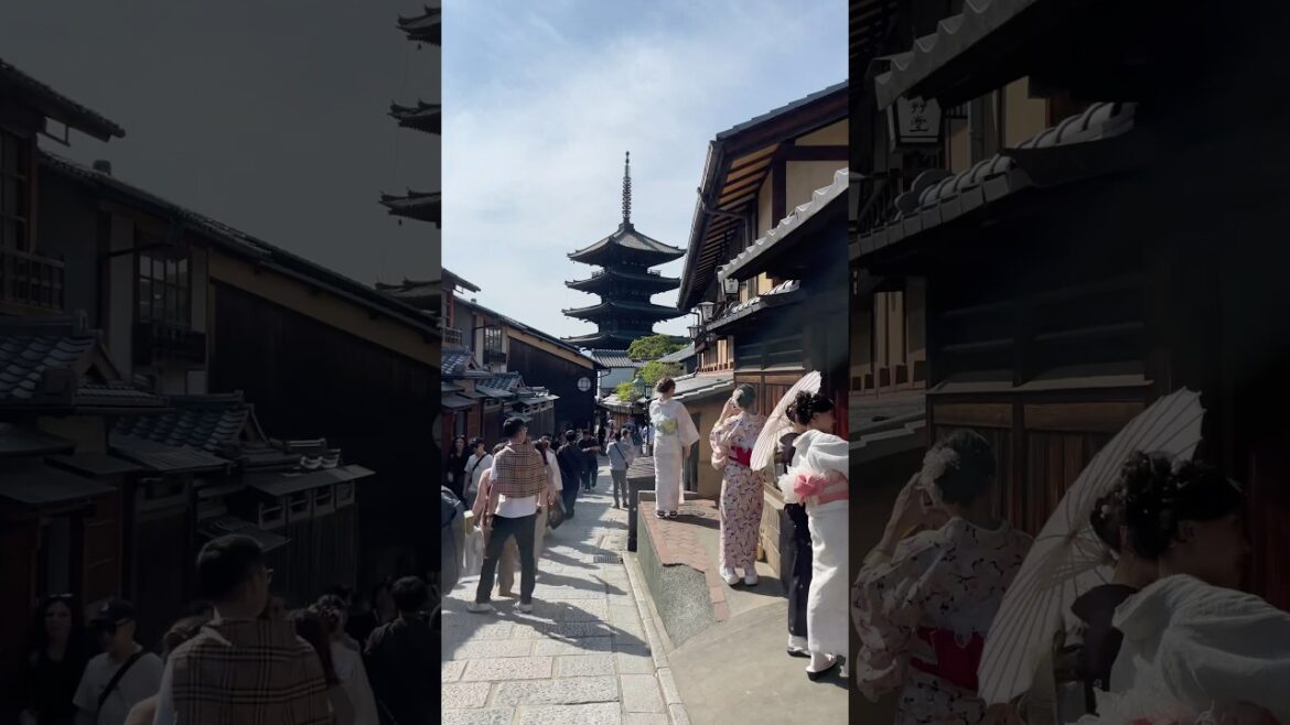 Kyoto Japan 🇯🇵 Walk Tour