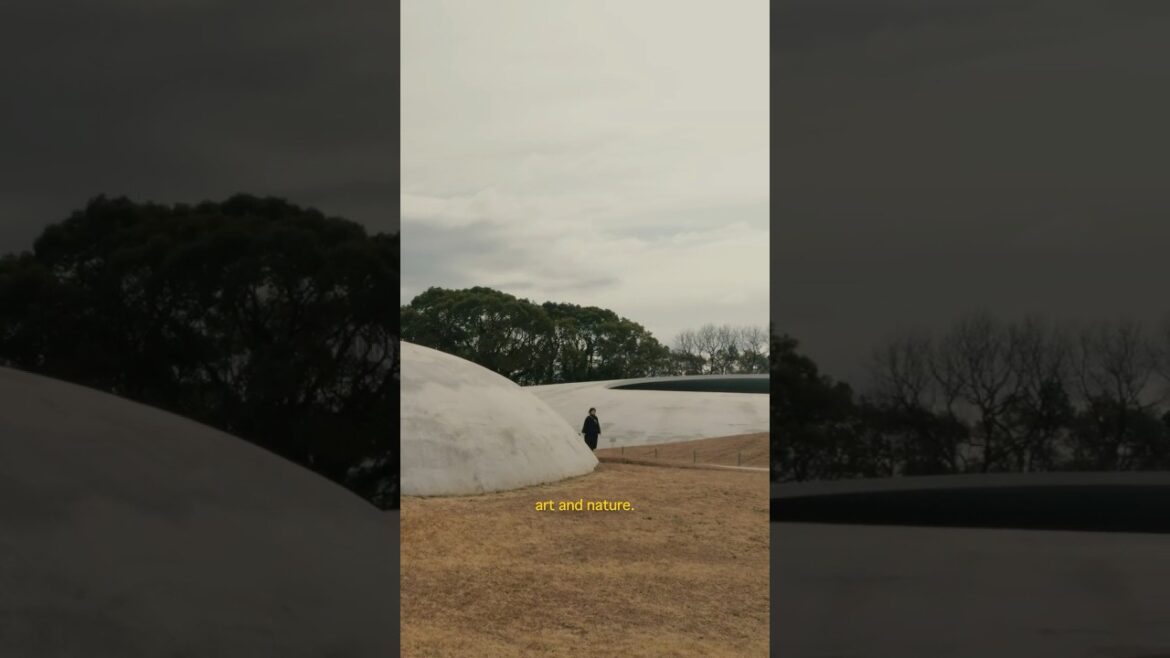 one of the most beautiful places we visited #japan #nature #art