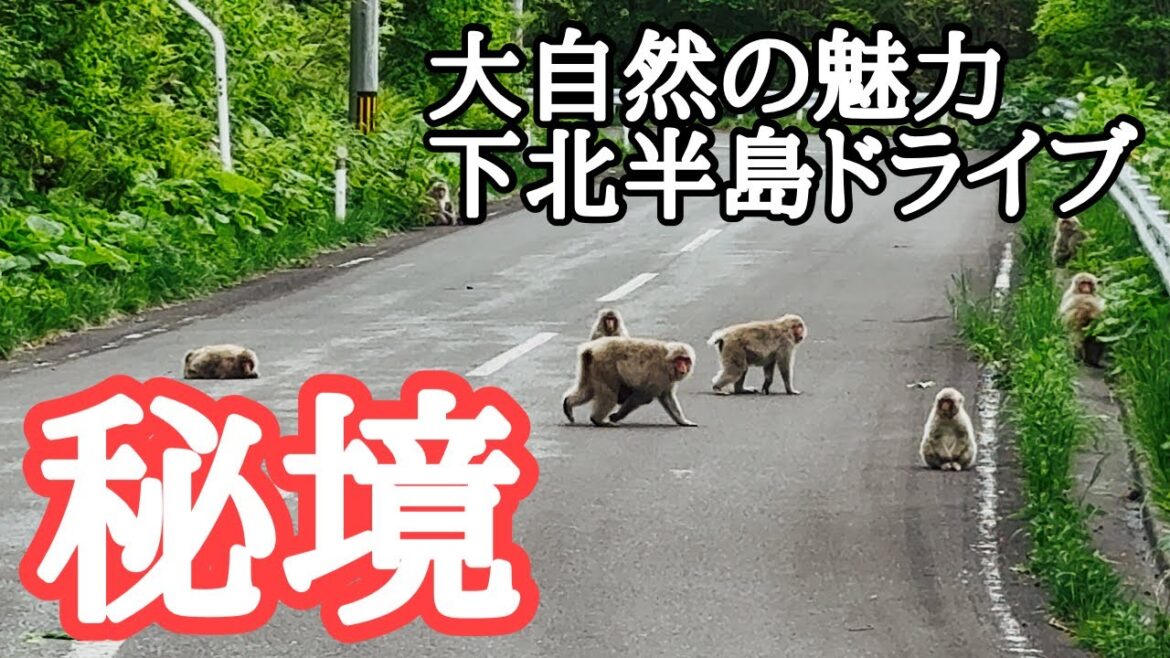 【秘境】下北半島一周ドライブ ありのままの大自然に癒される 【秘境】下北半島一周ドライブ ありのままの大自然に癒される