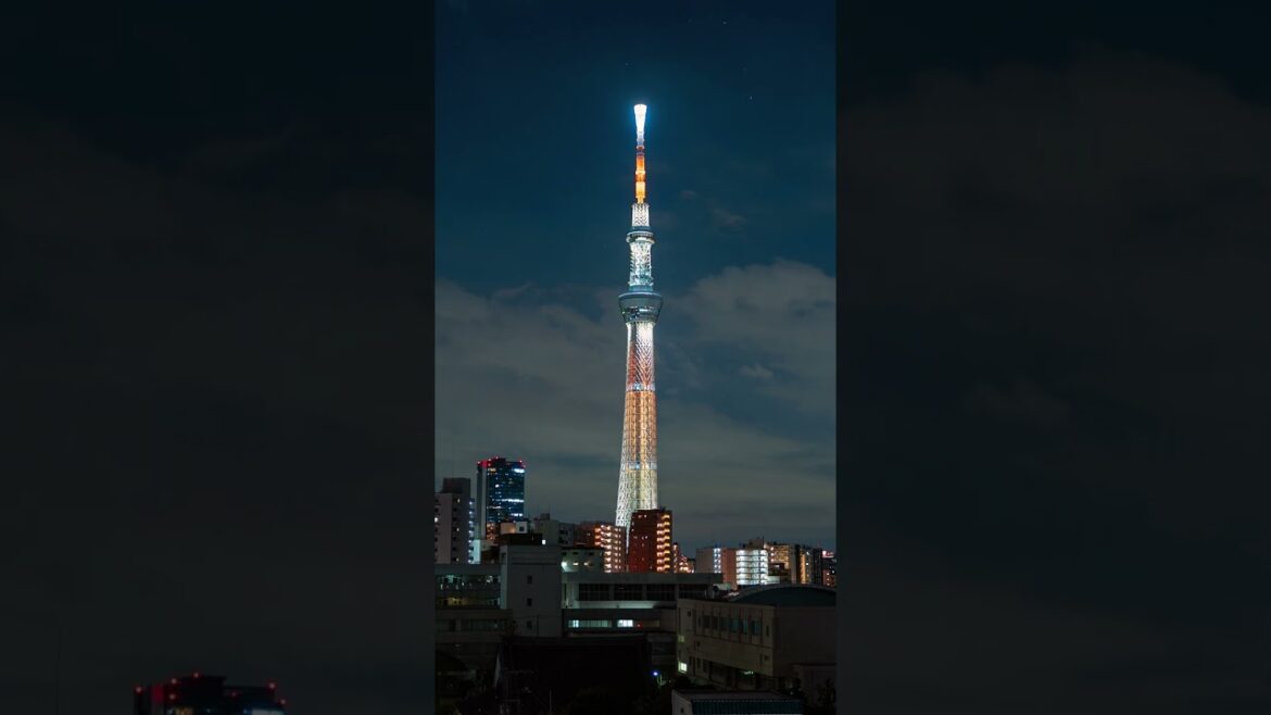 Cinematic Tour in Japan