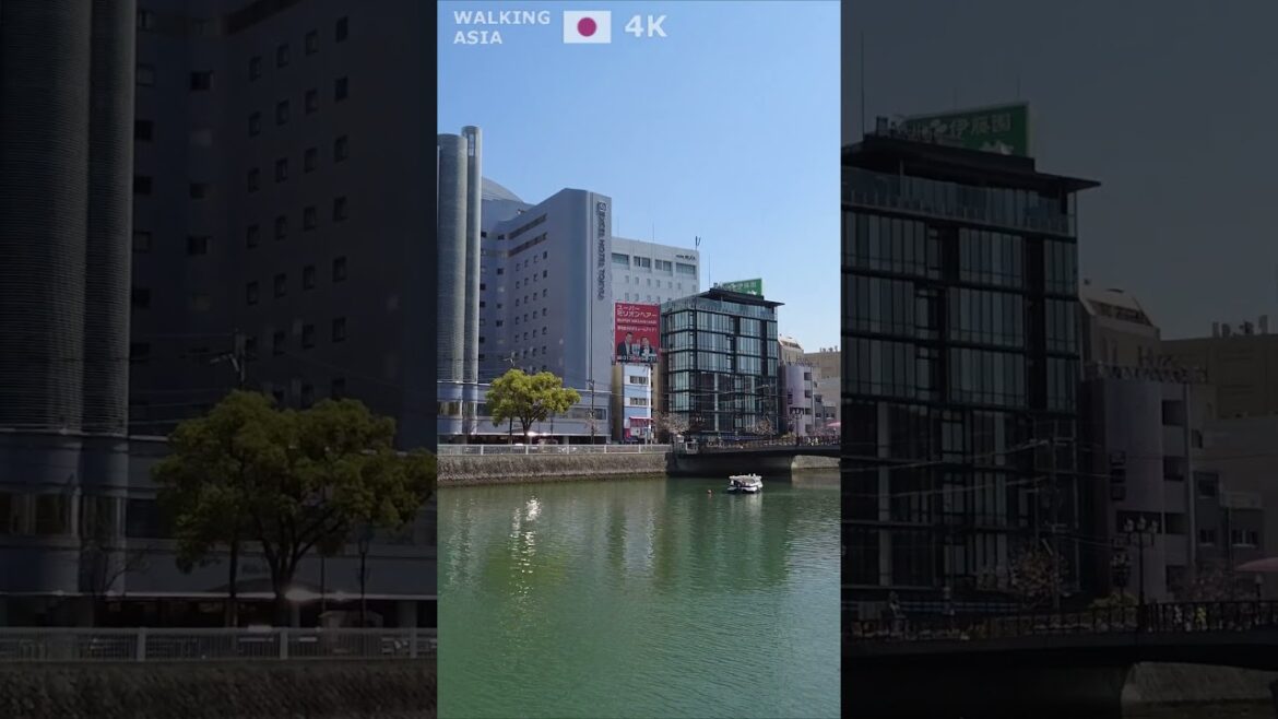 🇯🇵 Experience #Fukuoka in #Japan with us! #Shorts