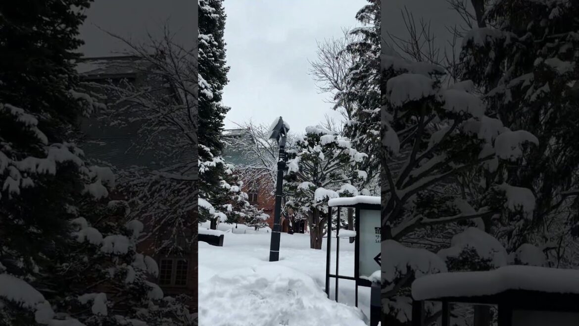 Sapporo’s Snowy Garden Park ❄️ Like a Real-Life Fairytale #travel