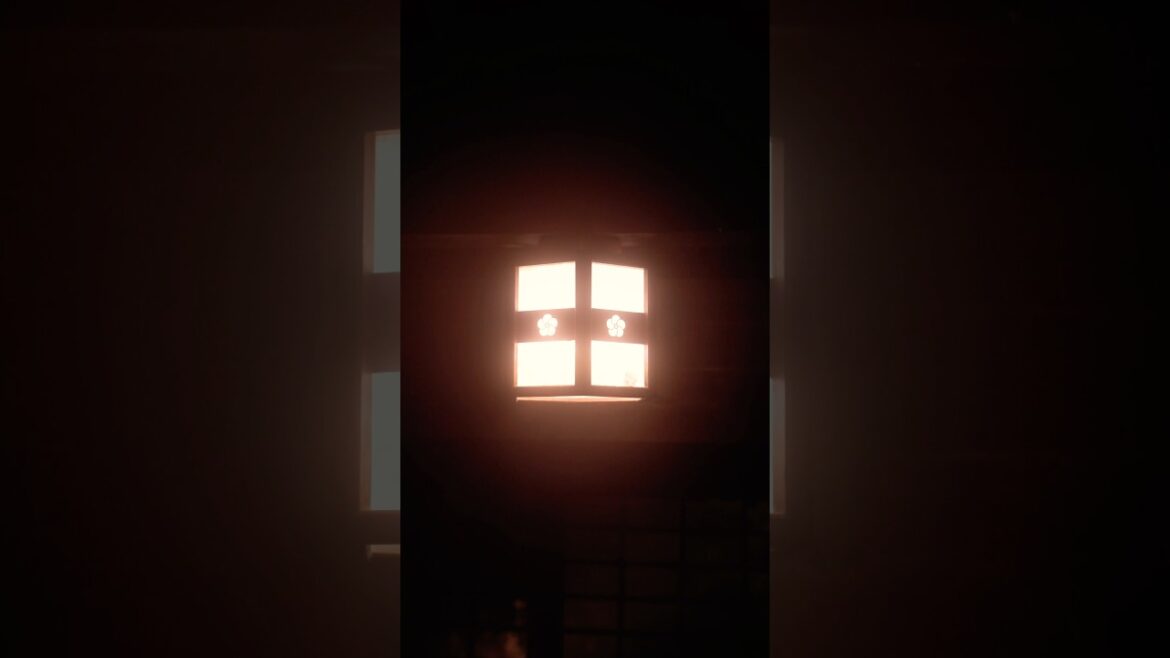 Relax in a hot spring in Kumamoto, Japan#japan #shorts #travel #hotspring