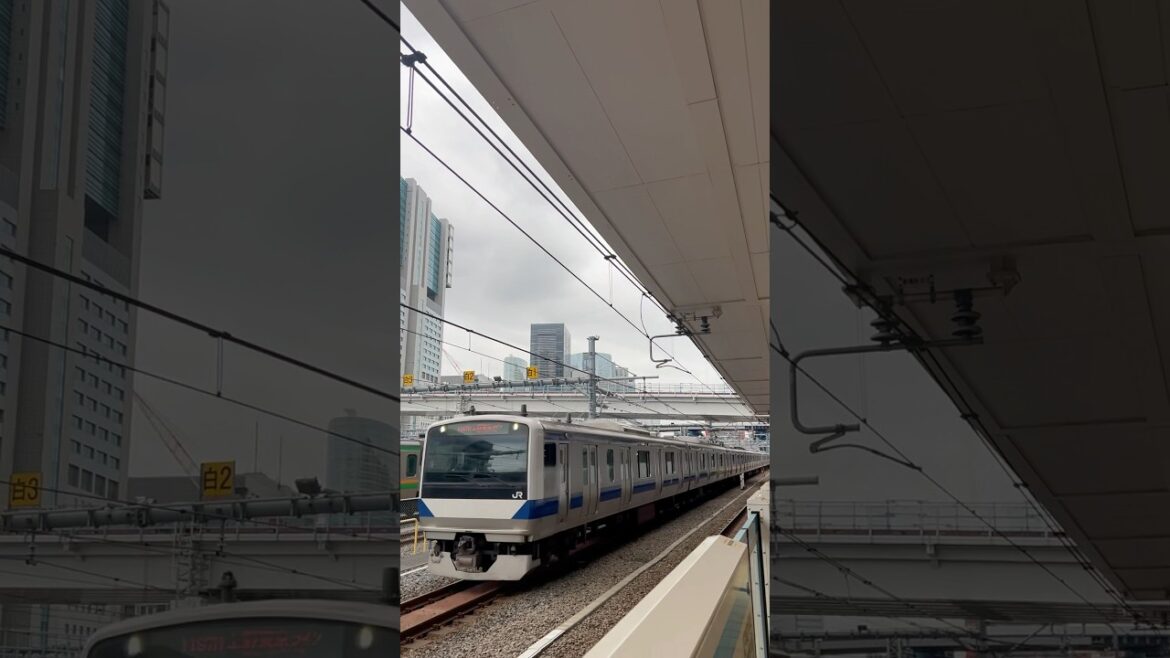 JR TRAIN TOKYO JAPAN #jafunadventure