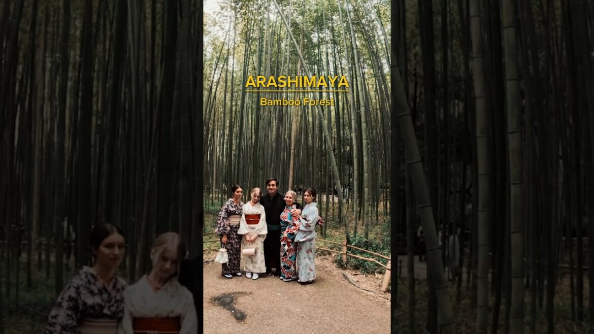 Arashiyama Bamboo Forest #kyoto #japan #japantravel #gopro #travel #family #love #shorts Arashiyama Bamboo Forest #kyoto #japan #japantravel #gopro #travel #family #love #shorts
