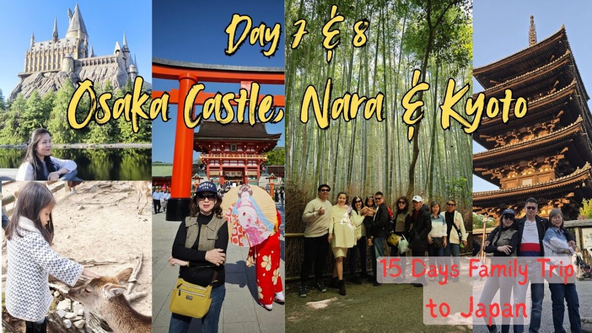 Kyoto. The Cultural Heart of Japan