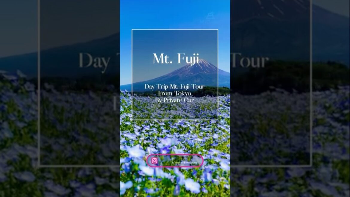 ☆Day Trip☆Mt. Fuji Tour From Tokyo By Private Car
