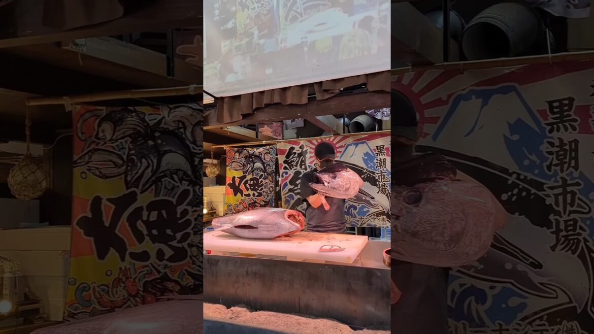 【 和歌山 】黒潮市場 マグロの解体ショー