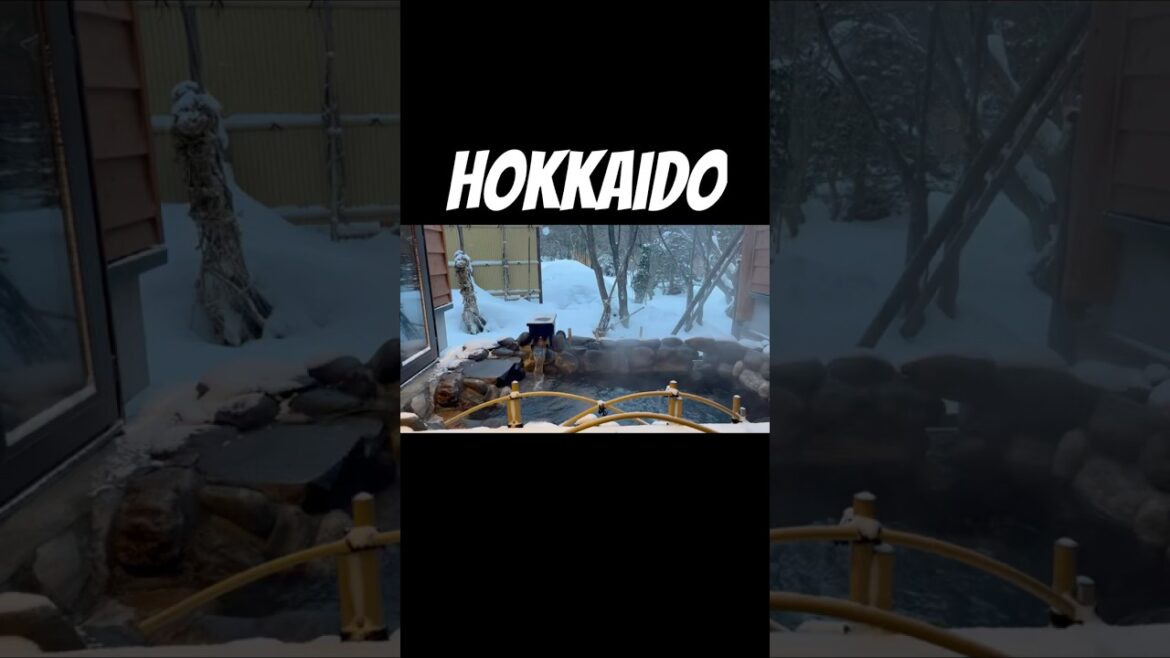 ๐ฏ๐ต ์ผ๋ณธ ํ์นด์ด๋ ์คํ๋ฃจ ๊ณ ๋ผ์ฟ ์ ๋ฃ์นธ / Japan Hokkaido Otaru Kourakuen Ryokan ๐ฏ๐ต ๐ฏ๐ต ์ผ๋ณธ ํ์นด์ด๋ ์คํ๋ฃจ ๊ณ ๋ผ์ฟ ์ ๋ฃ์นธ / Japan Hokkaido Otaru Kourakuen Ryokan ๐ฏ๐ต