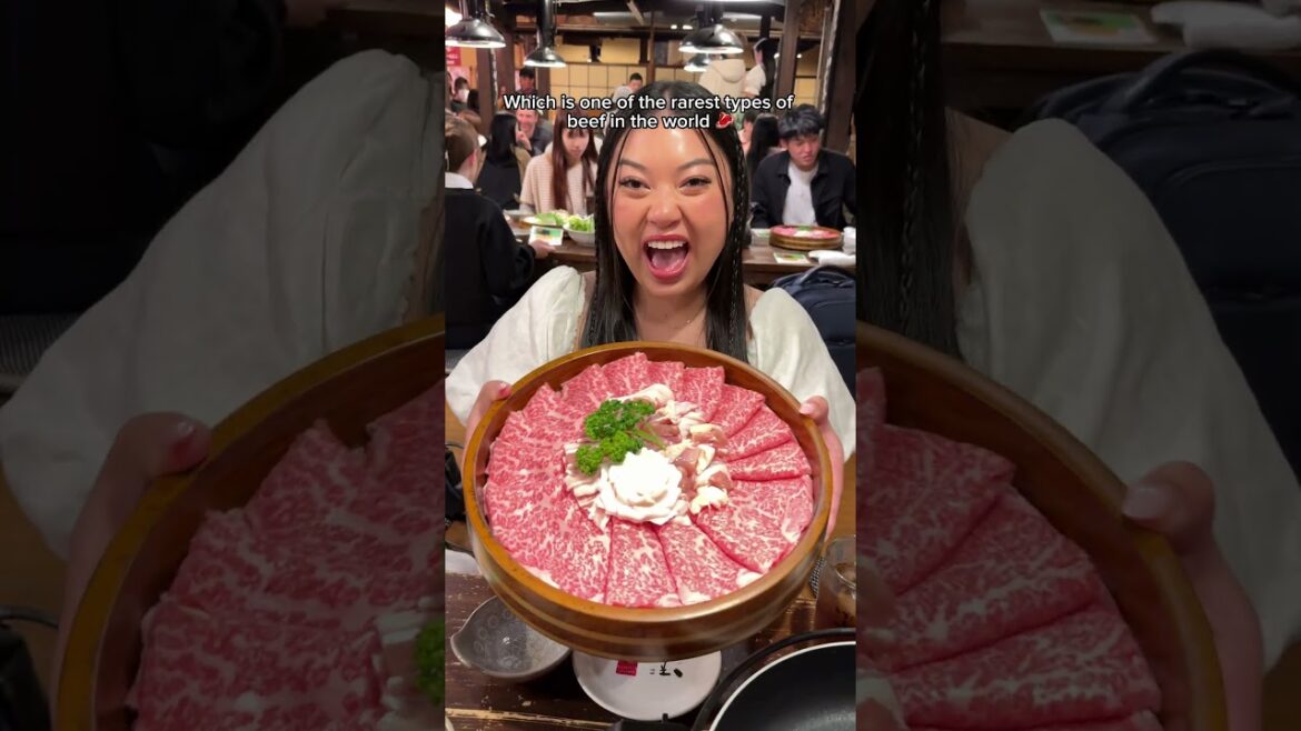 Everything I ate in Kagawa! 🍜🥩