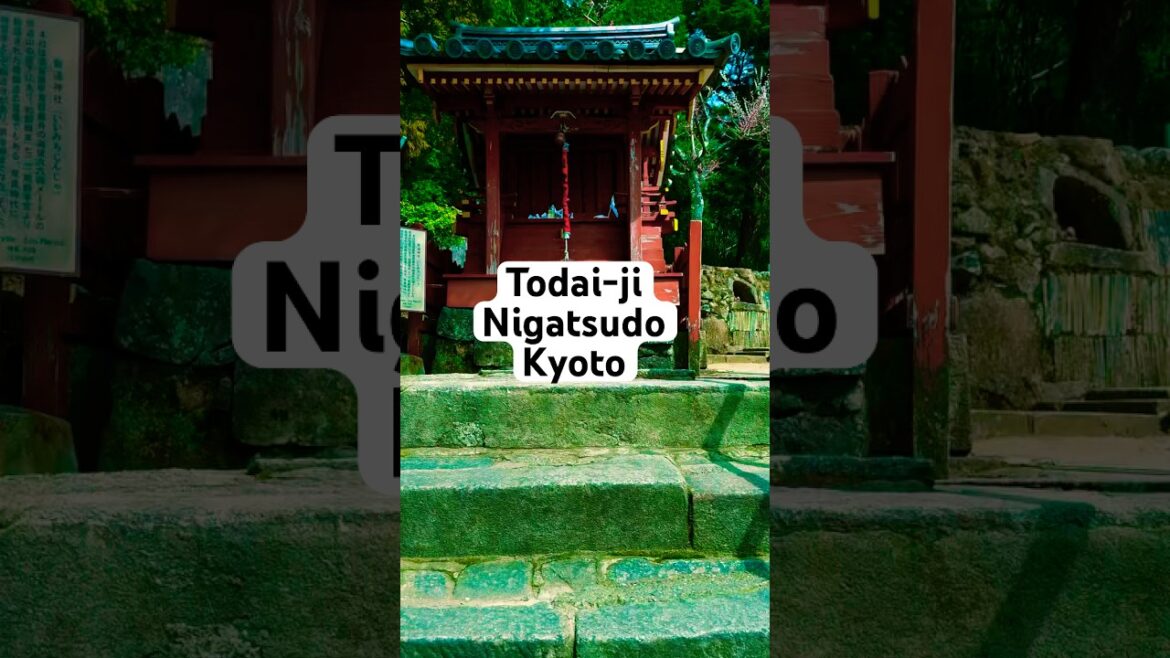 📍Todai-ji Nigatsudo Temple, Kyoto #travel #japan #kyoto #foryou