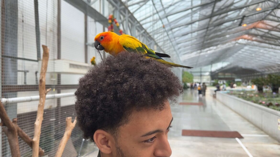 Most Popular Bird Park IN JAPAN