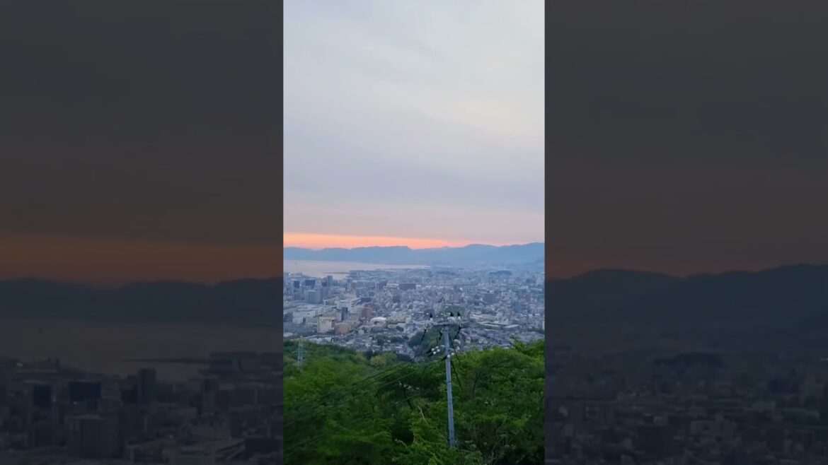 Hiroshima From Above #hiroshima #japan #mountain #city #sunset #shorts