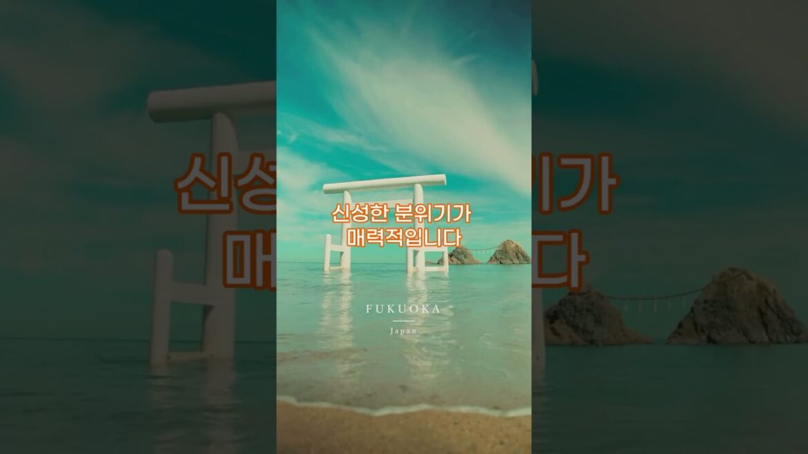 후쿠오카 사쿠라이 신사!