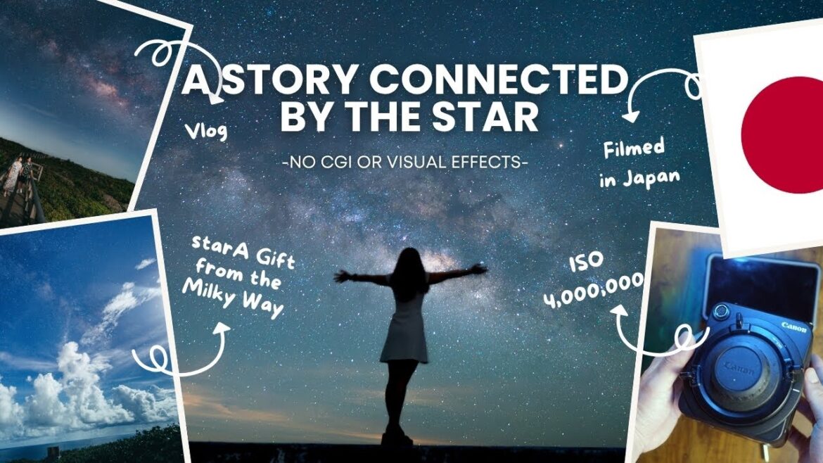 星に導かれて宮古島を旅する | 日本