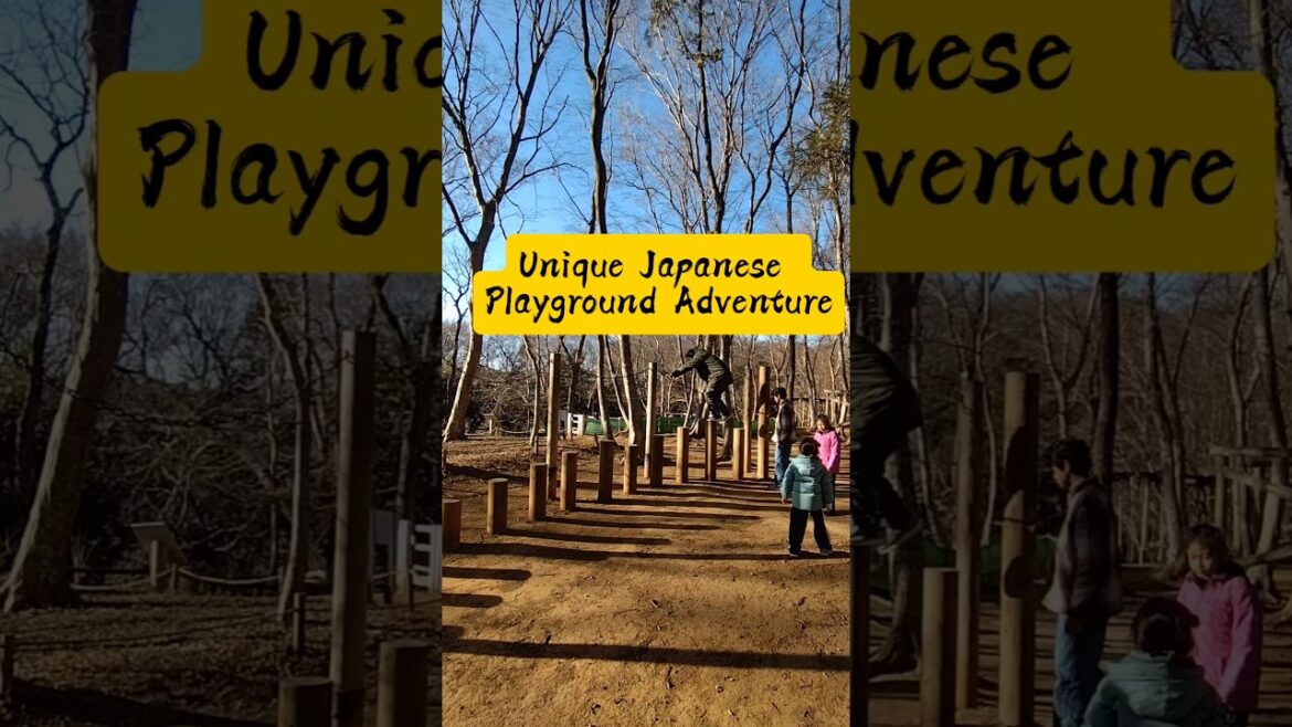 Insane Playground in Japan! #japan #tokyo #travel #trending