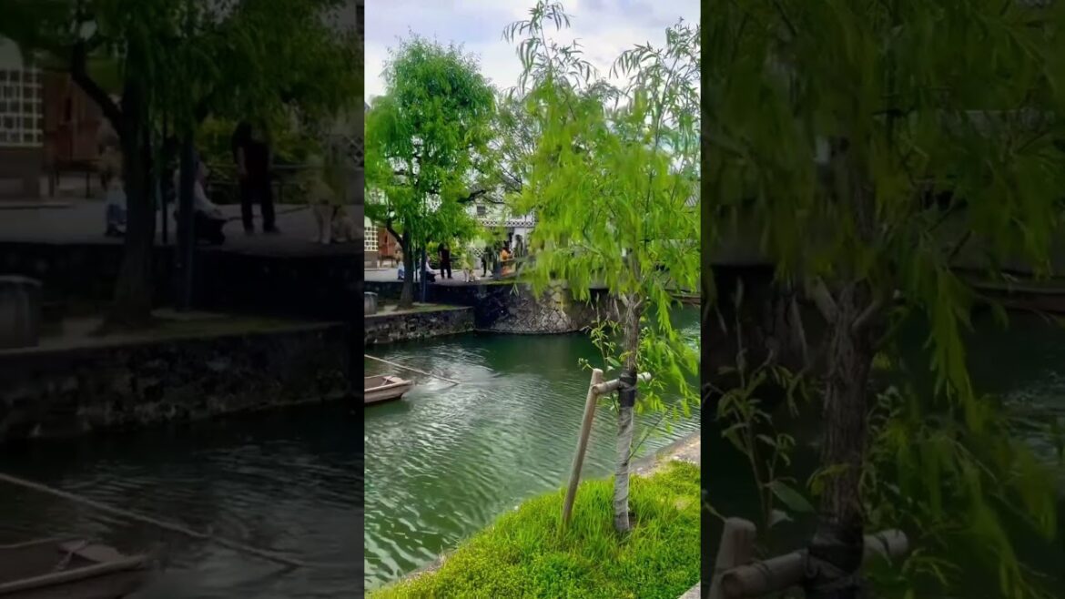 Okayama gives you a taste of the traditional Japanese countryside.#okayama #japan #japantrip Okayama gives you a taste of the traditional Japanese countryside.#okayama #japan #japantrip