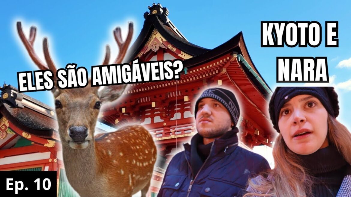 KYOTO e NARA: Vale a pena? 🇯🇵 KYOTO e NARA: Vale a pena? 🇯🇵