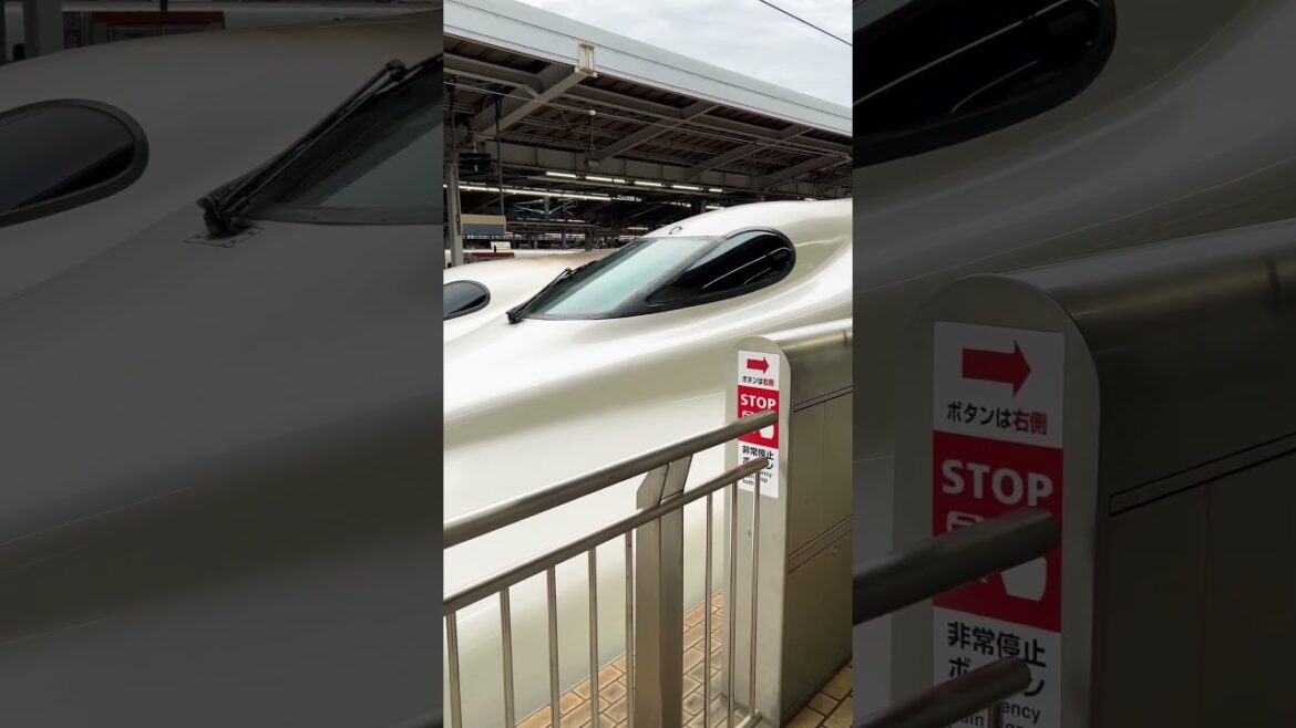 【OSAKA】Everyday Common Scene  - Shin-Osaka station