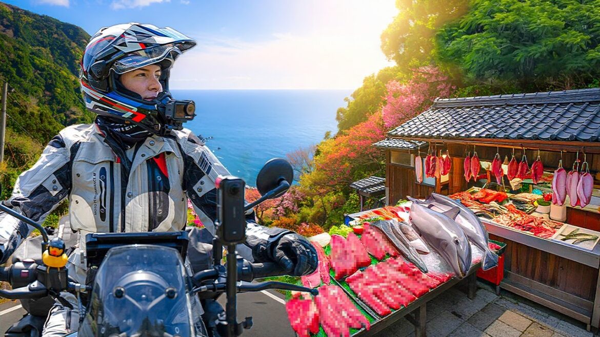 Motorcycle Ride Through Japan’s Coast—Then I Saw the Dolphin Meat