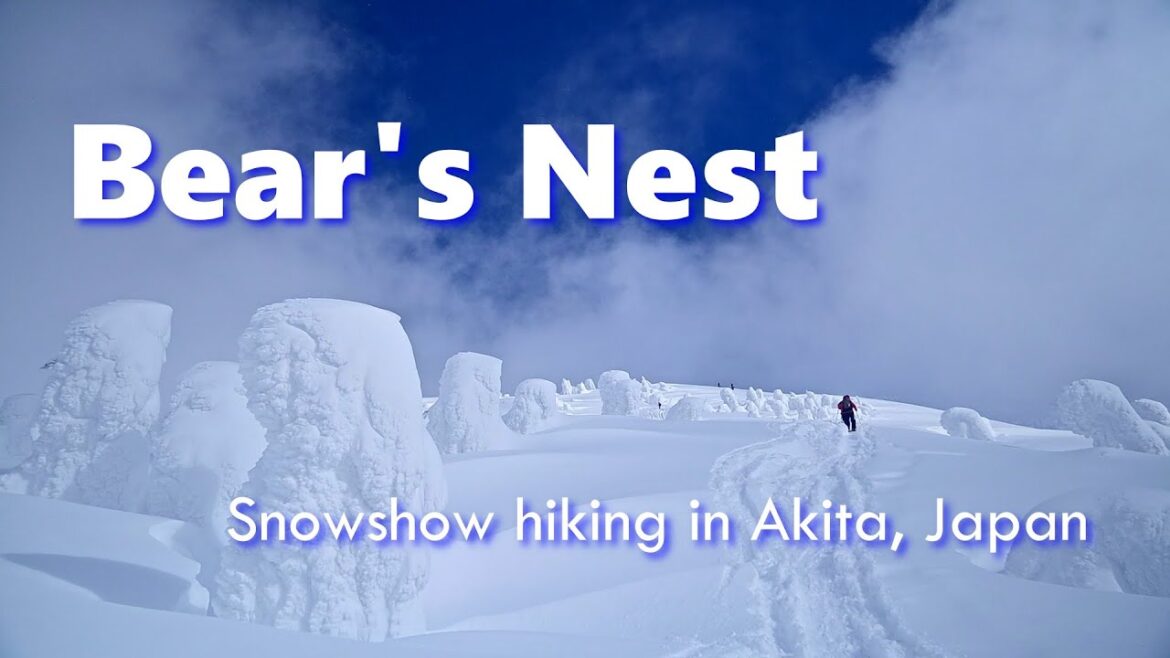 Journey to the mountain where bears dream | Snowshoe hiking in Akita / Japan Journey to the mountain where bears dream | Snowshoe hiking in Akita / Japan
