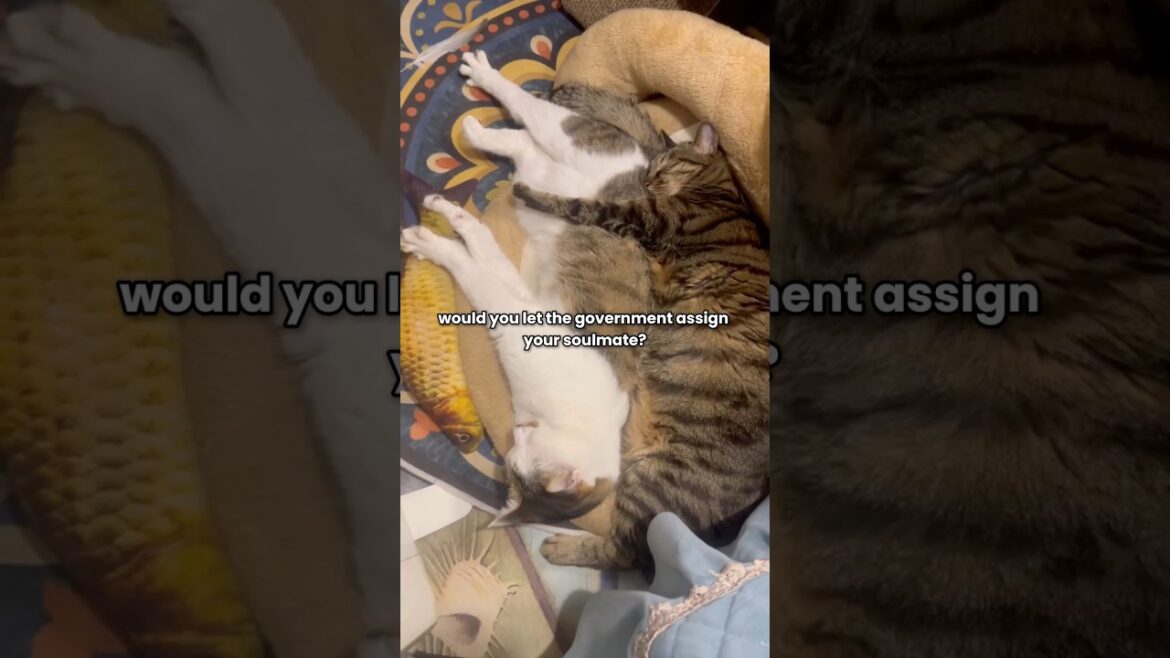 Japan’s Solution to Loneliness Might Be Worse Than Loneliness