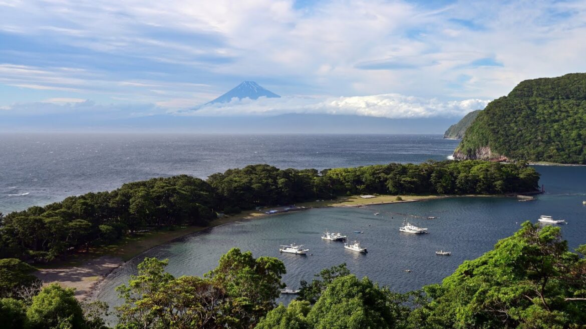 Heda, Numazu, Shizuoka (静岡県沼津市戸田) - Fuji Seiran (富士青藍) property & room tour 2025 May 25