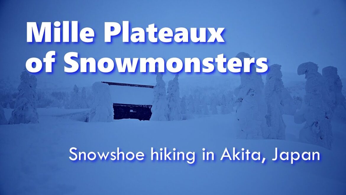 Mille Plateaux of Snowmonsters | Snowshoe hiking in Akita / Japan