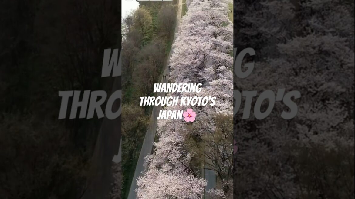 Wandering Through Kyoto's Gates #travelshorts   #travelfacts