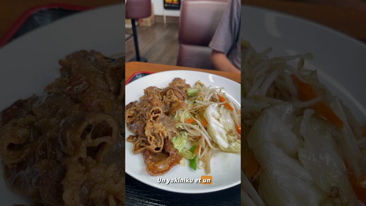 🇫🇷 JOUR 18 : Fukuoka – Tokyo 🚴 #asia #travel #bikelife #bikelover #japan #okayama 🇫🇷 JOUR 18 : Fukuoka - Tokyo 🚴 #asia #travel #bikelife #bikelover #japan #okayama