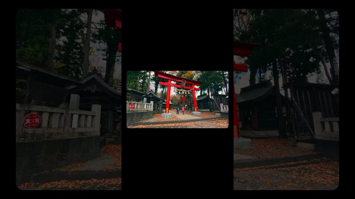 Calm of Japan city!! #japan #travel #cinematic #ancientjapan