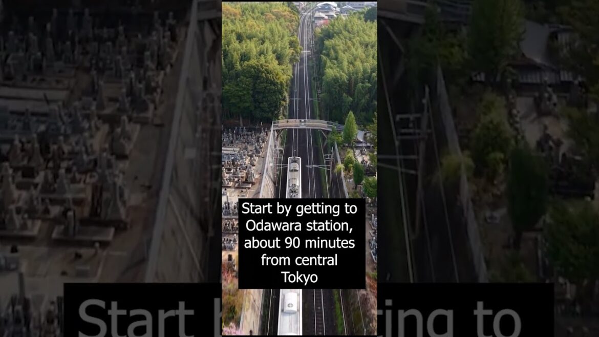 Hakone Free Pass - Day Trip from Tokyo - Mt. Fuji, Pirate Ship, and Volcano in One Loop