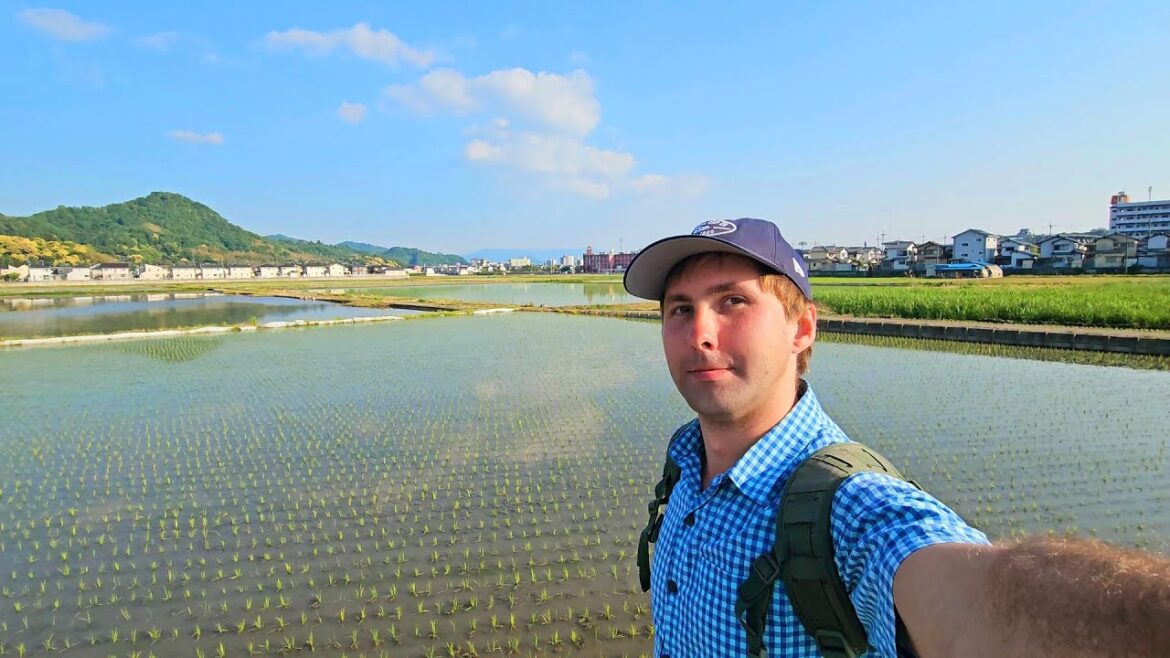 【4K】🏯Поездка в Японию 2025・Walking tour・Japan・Tokyo・Экскурсия・Прогулка・Vlog・Travel・Алексей Михайлов