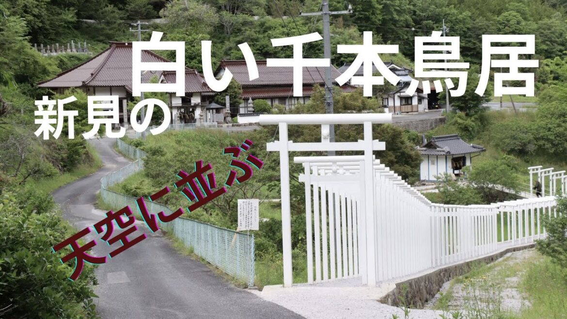 天空の白い鳥居⛩️岡山・新見 済渡寺の真っ白な千本鳥居と1万株のアジサイ｜白龍門の絶景と桃の彫刻に癒される旅
