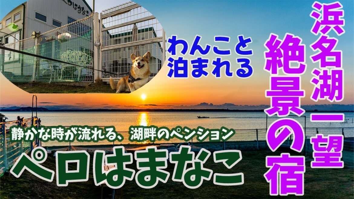 【ペロはまなこ】砂丘に行って、弁天島に行き、宿で絶景を見ながらうなぎを食べたら大満足だった飼い主とコーギー 【ペロはまなこ】砂丘に行って、弁天島に行き、宿で絶景を見ながらうなぎを食べたら大満足だった飼い主とコーギー