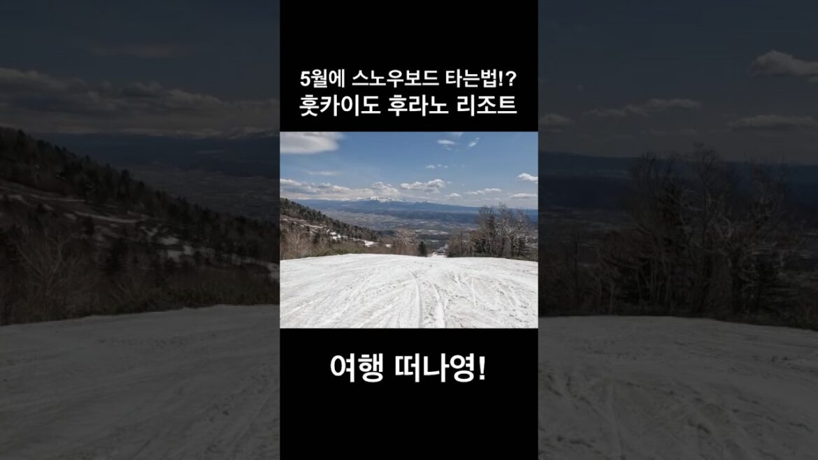 [TRAVEL] 보드타러 갔다가 눈밭에서 데굴데굴