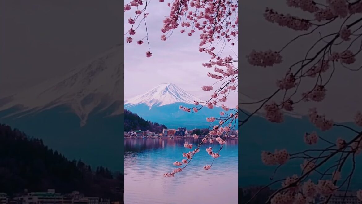 Mount Fuji & Hakone: Nature’s Perfect Harmony #MountFuji #HakoneJapan #VisitJapan #FujiViews Mount Fuji & Hakone: Nature’s Perfect Harmony #MountFuji #HakoneJapan #VisitJapan #FujiViews