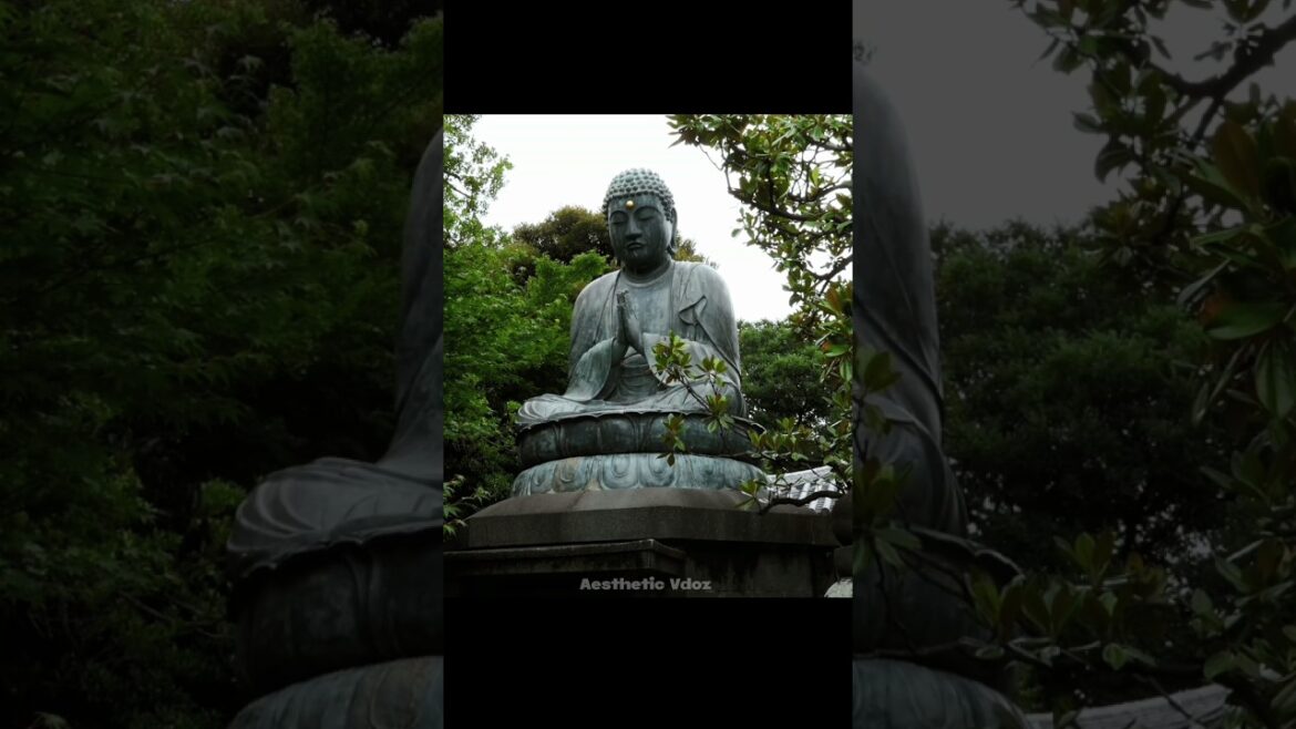 Beautiful place in Japan 🇯🇵 #nature #adventure #explore #travel #destination  #shorts