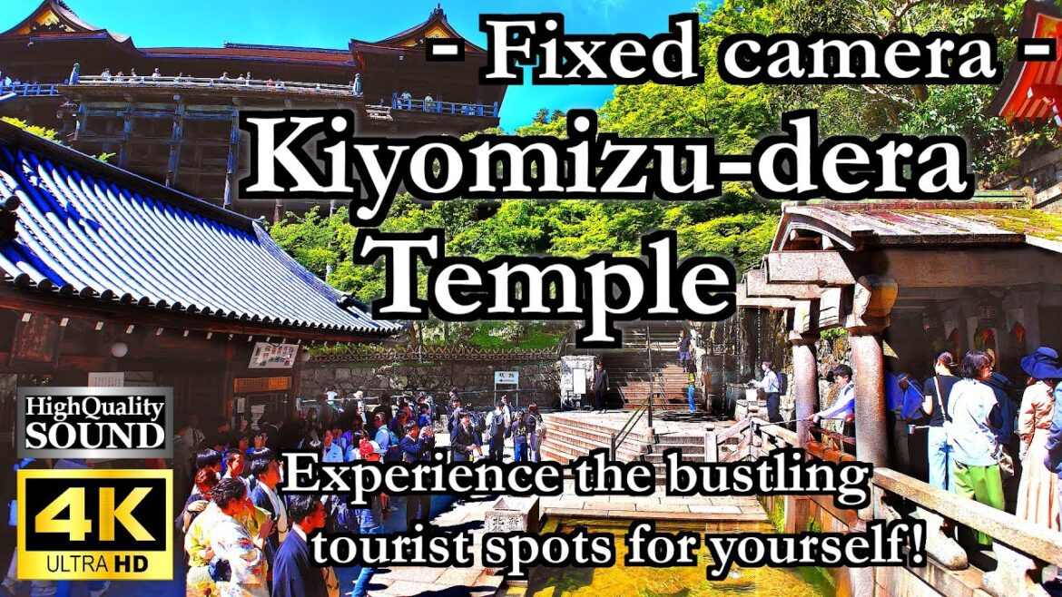Kiyomizu Dera Temple Kyoto! A realistic experience with high quality image sound.[kyoto live camera]