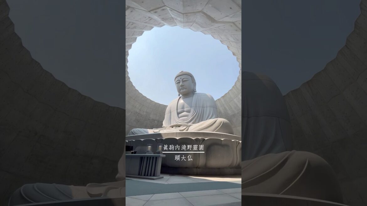 🗿北海道-頭大仏 | 真駒內滝野靈園 | 安藤忠雄設計 | 摩艾像 | 巨石陣 | ほっかいどう #sapporo  #japan #travel