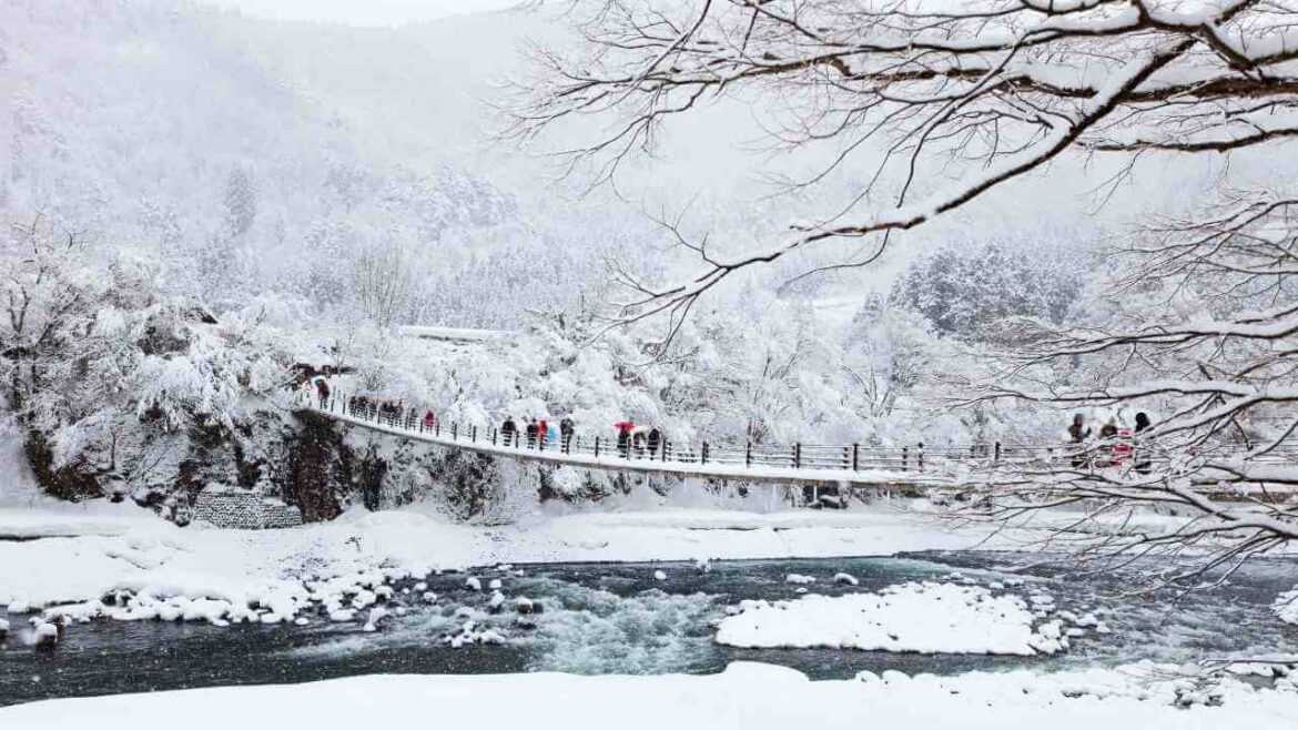✨ 7-Day Hokkaido Family Trip | Hakodate, Sapporo, Otaru & More! ✨ 7-Day Hokkaido Family Trip | Hakodate, Sapporo, Otaru & More!