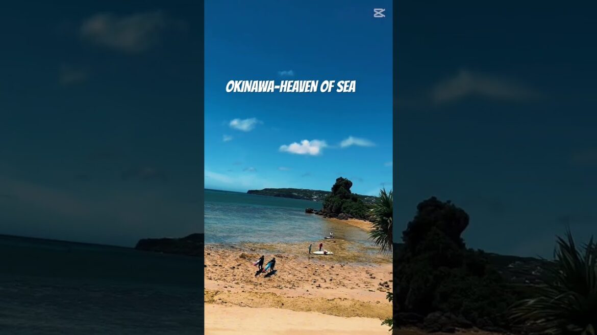 Okinawa: The Island That Shouldn't Exist