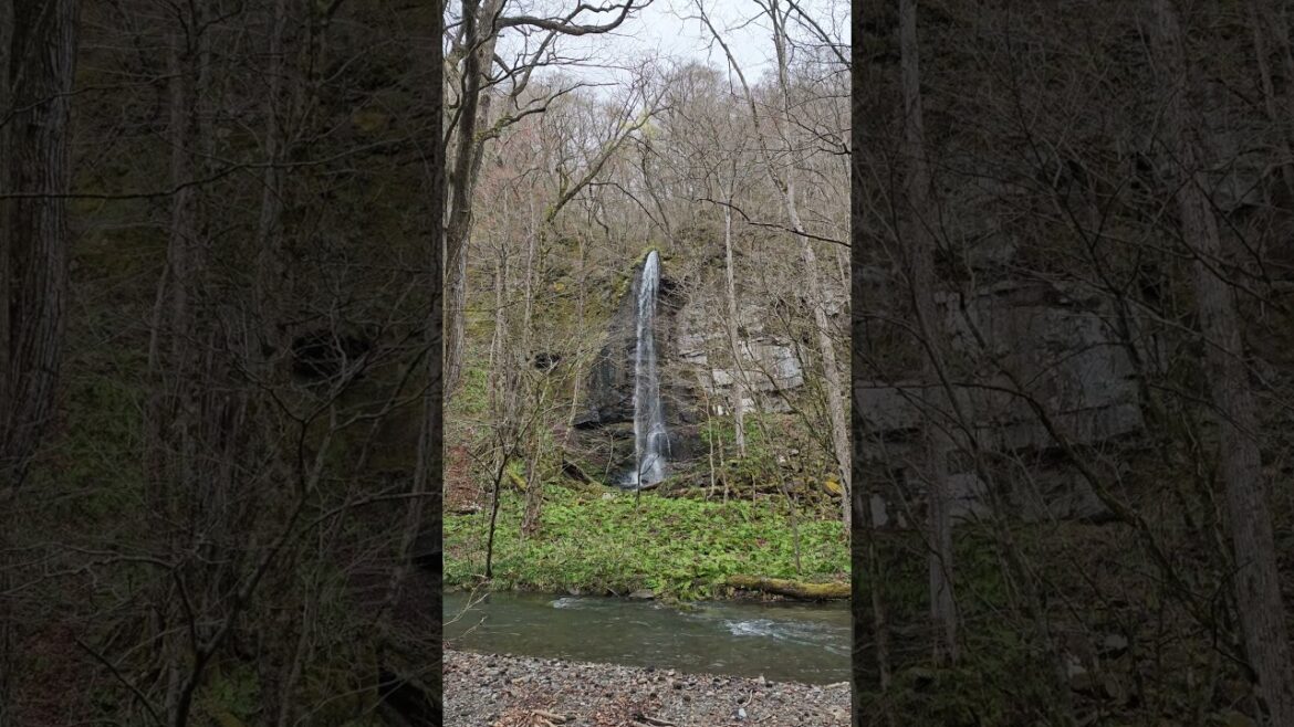 Waterfalls along Oirase Gorge in early spring #japan #tohoku #aomori #spring #healing #asmr