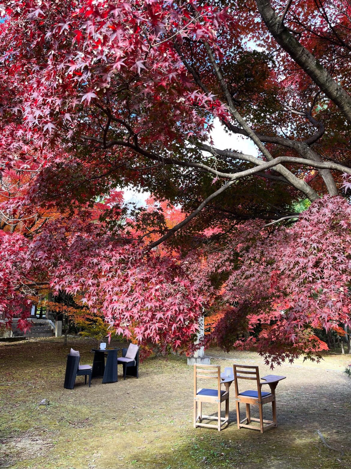 Take a seat in Tokyo
