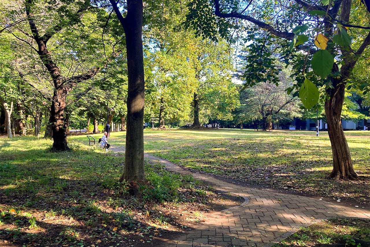 Toyama Park is a rare green oasis in the heart of Tokyo. (© Gianni Simone)