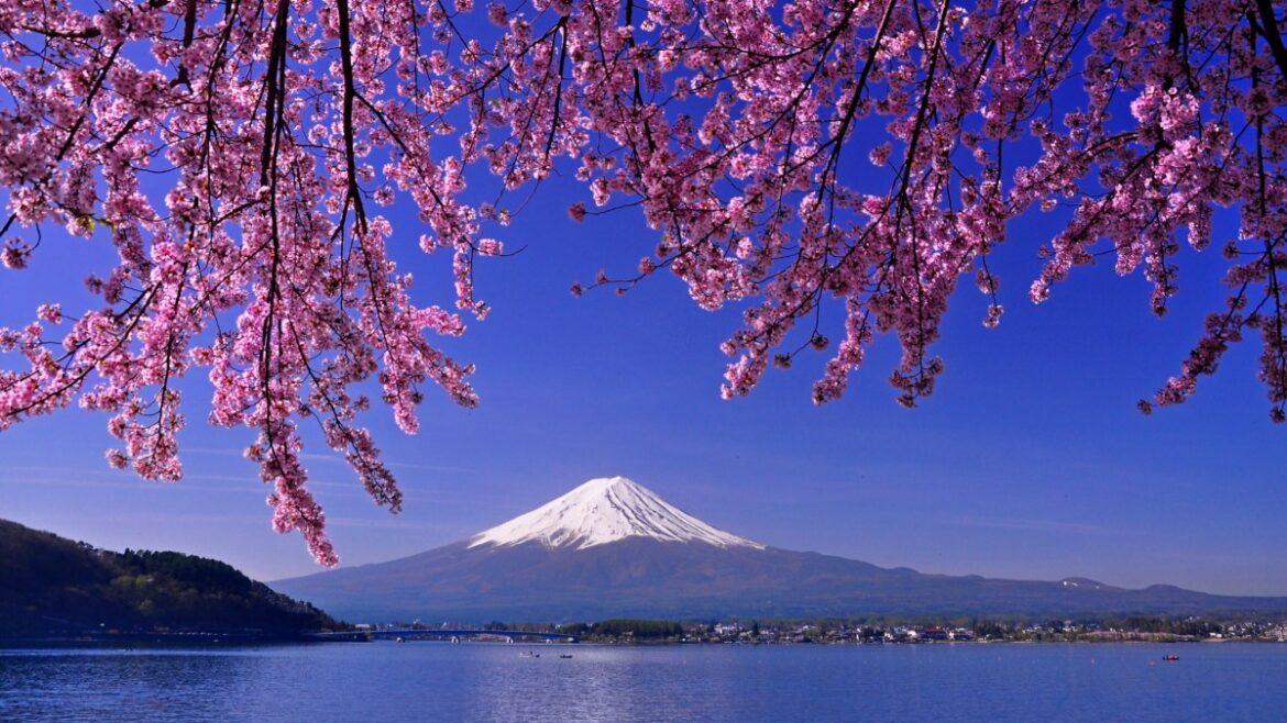 when to go and what to do when to go and what to do