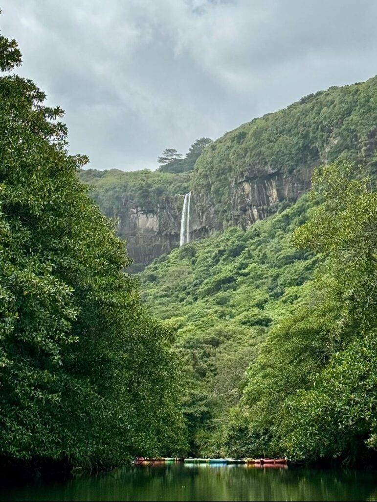 Iriomote Island - trip do Pinaisara Falls