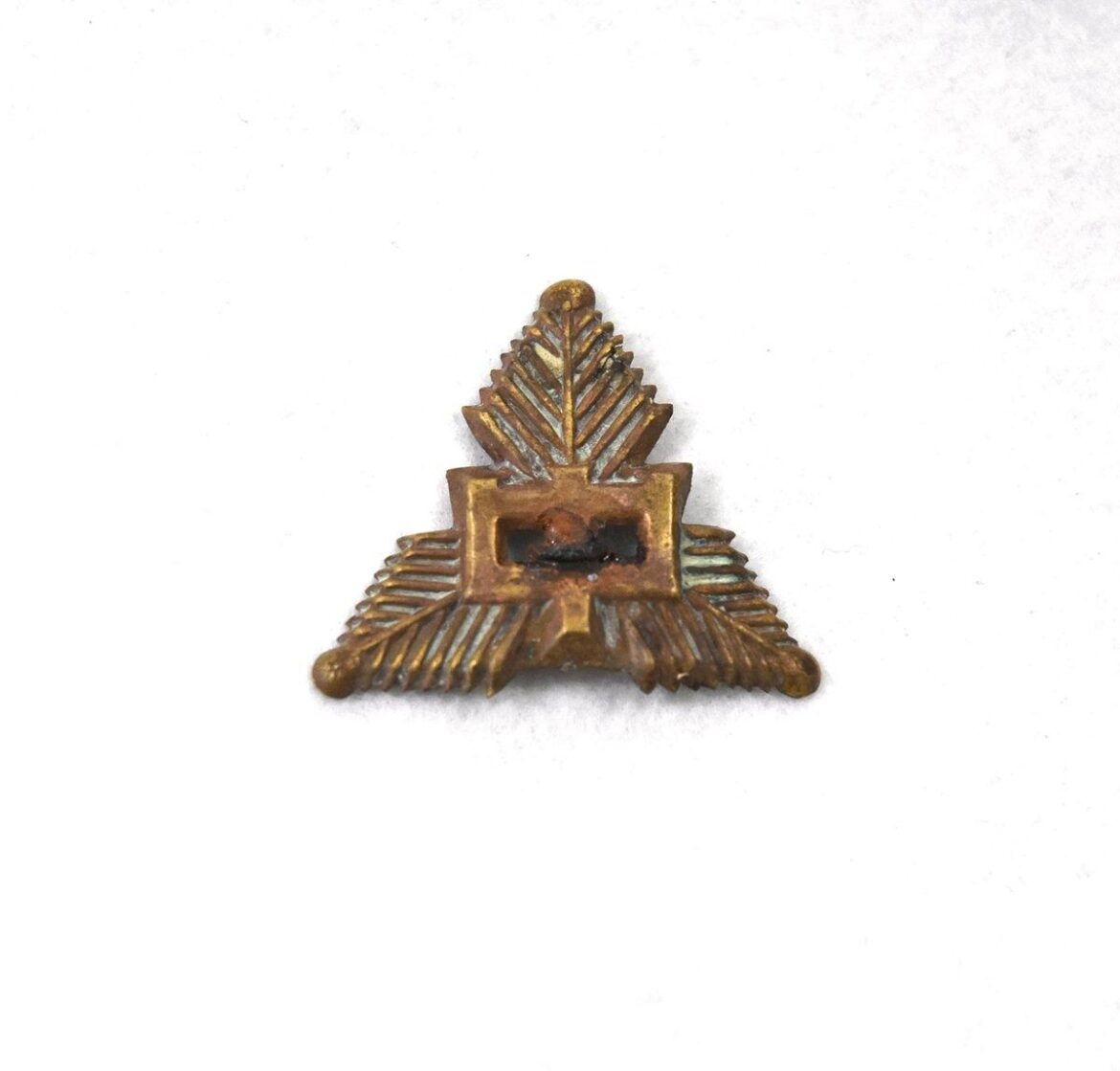 80 years after WWII, Japanese junior high school badge found in Okinawa natural cave 80 years after WWII, Japanese junior high school badge found in Okinawa natural cave